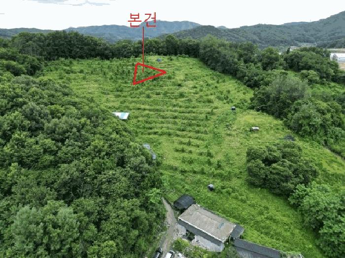 2025타경30663 법원경매 사진6 | 충북 음성군 임야 경매