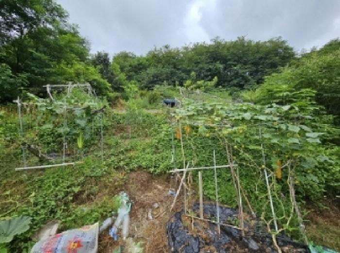 2025타경5373 법원경매 사진34 | 충북 제천시 전 경매