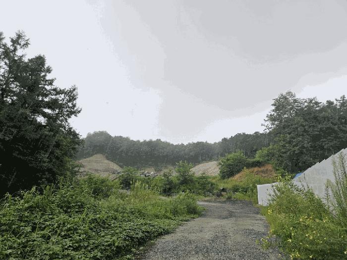 2025타경5373 법원경매 사진11 | 충북 제천시 과수원 경매