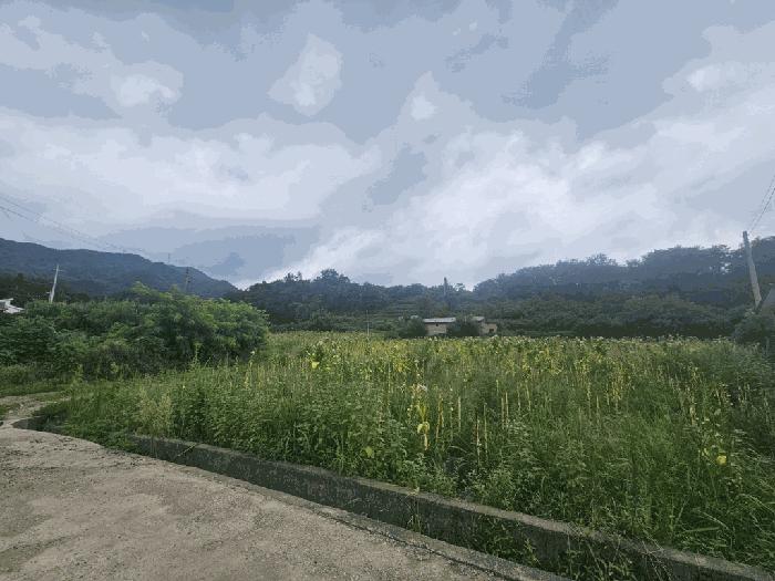 2025타경5373 법원경매 사진42 | 충북 제천시 과수원 경매