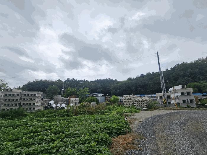 2025타경5373 법원경매 사진8 | 충북 제천시 과수원 경매