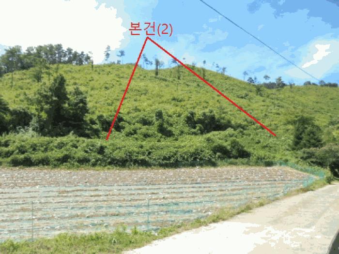 2025타경5375 법원경매 사진3 | 충북 단양군 임야 경매