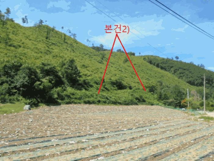 2025타경5375 법원경매 사진6 | 충북 단양군 임야 경매
