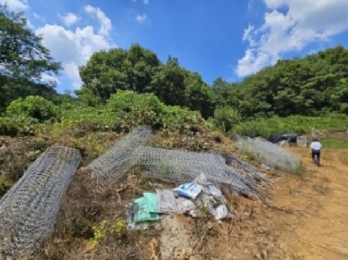 2025타경5375 법원경매 사진11 | 충북 단양군 임야 경매