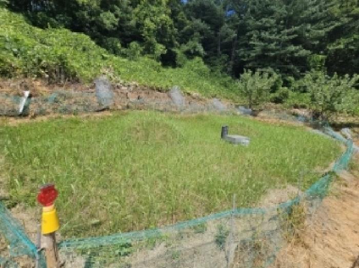 2025타경5375 법원경매 사진12 | 충북 단양군 임야 경매
