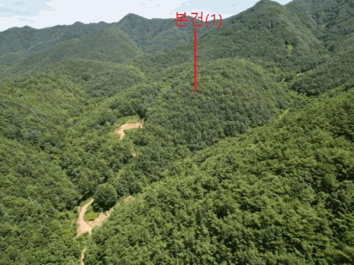 2025타경5375 법원경매 사진2 | 충북 단양군 임야 경매