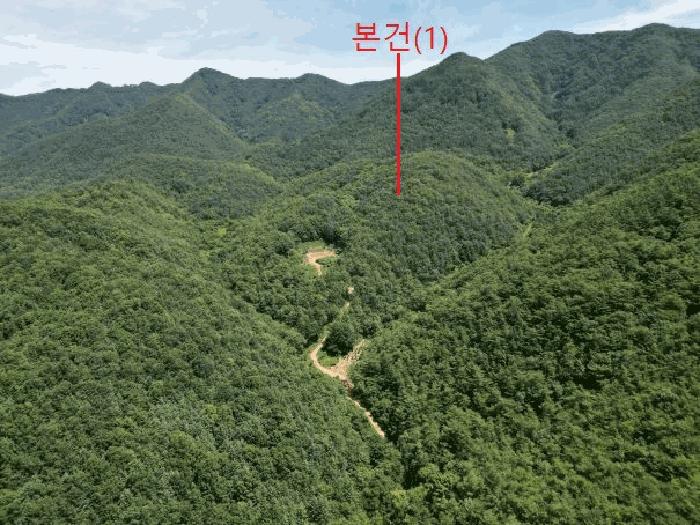 2025타경5375 법원경매 사진24 | 충북 단양군 임야 경매