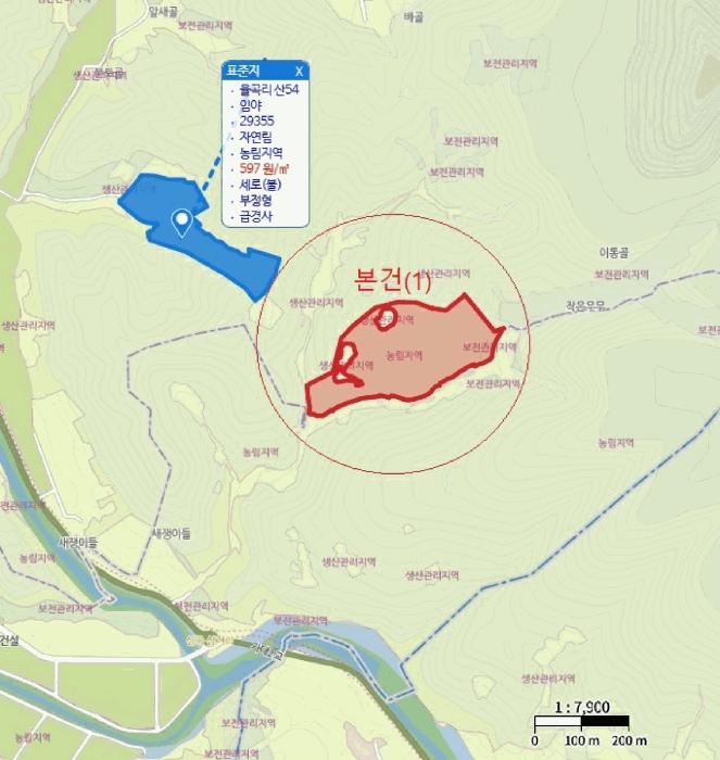 2025타경5375 법원경매 사진29 | 충북 단양군 임야 경매