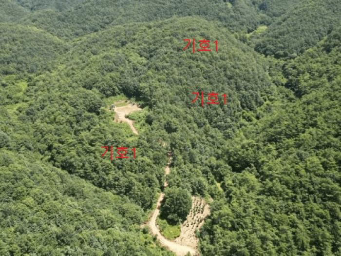 2025타경5375 법원경매 사진4 | 충북 단양군 임야 경매