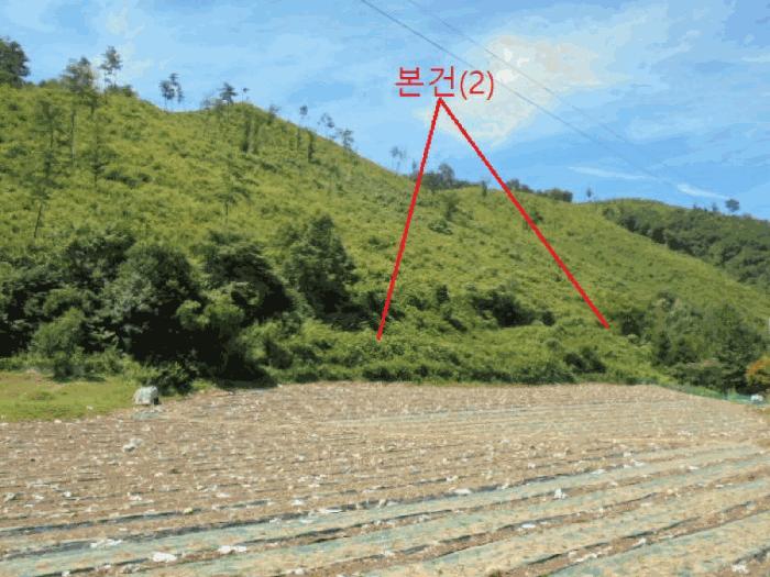 2025타경5375 법원경매 사진5 | 충북 단양군 임야 경매