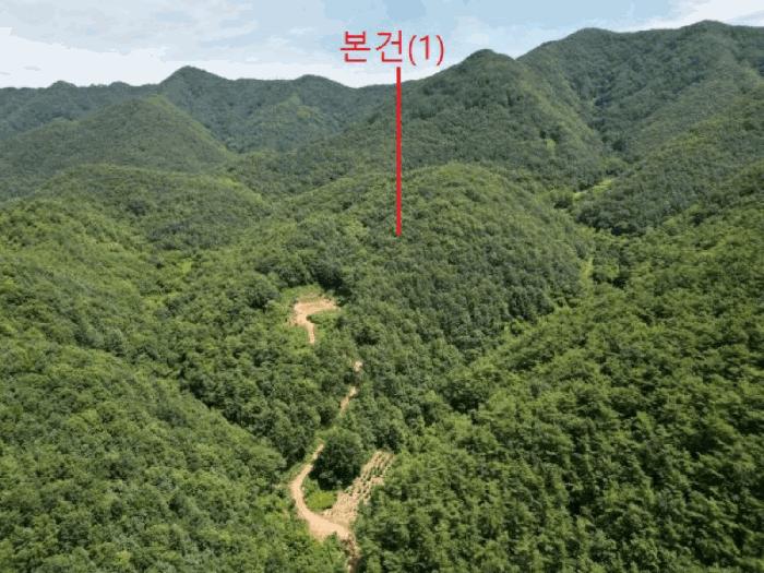 2025타경5375 법원경매 사진7 | 충북 단양군 임야 경매