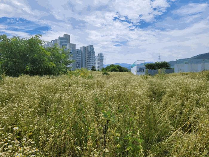 2025타경5377 법원경매 사진4 | 충북 제천시 전 경매