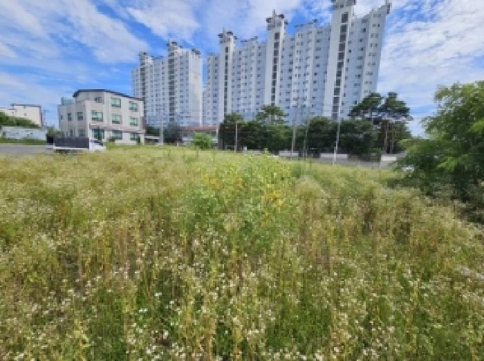 2025타경5377 법원경매 사진23 | 충북 제천시 전 경매