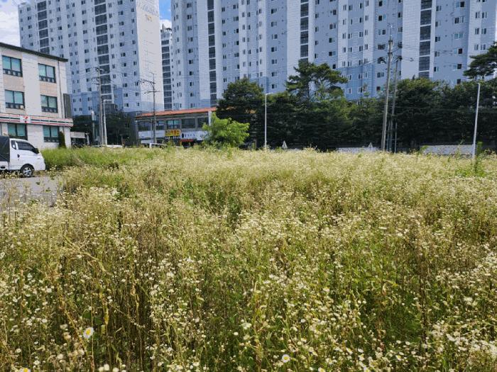 2025타경5377 법원경매 사진9 | 충북 제천시 전 경매