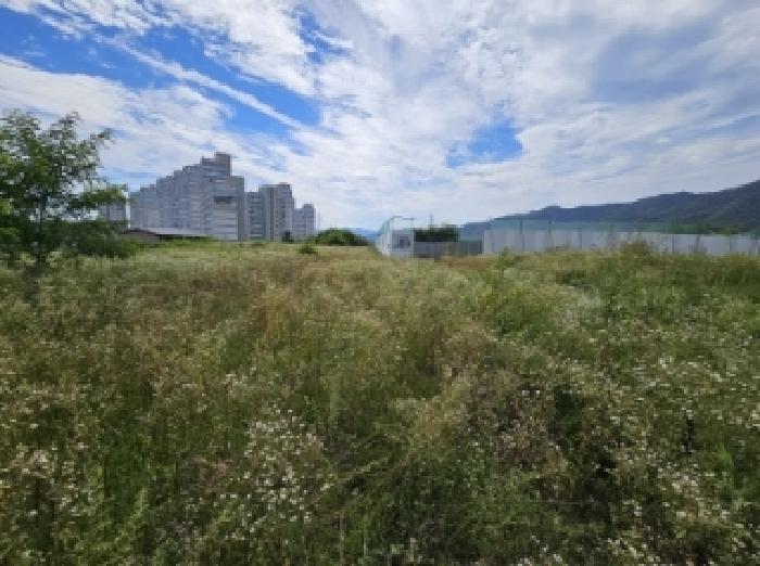 2025타경5377 법원경매 사진20 | 충북 제천시 전 경매