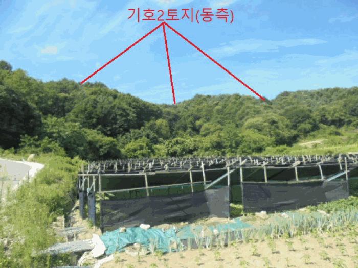 충청북도 제천시 백운면 원월리 351 법원경매 물건 대표사진
