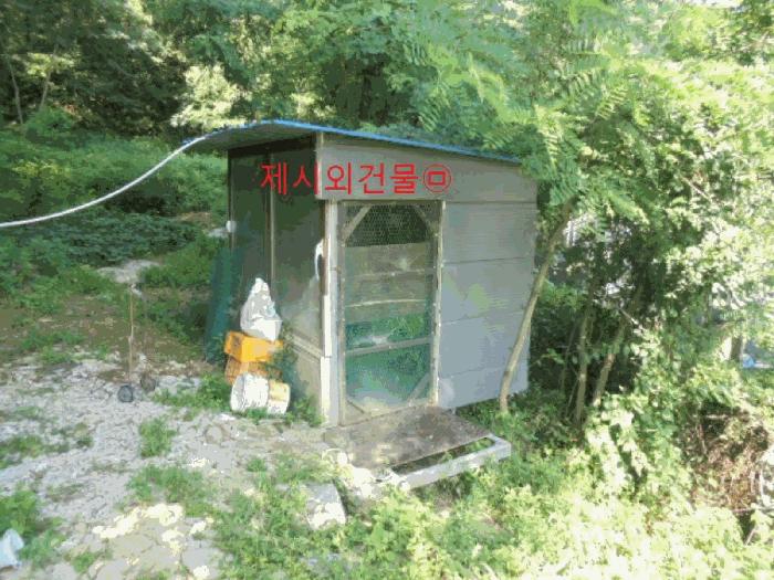 2025타경5381 법원경매 사진16 | 충북 제천시 주택건물 경매
