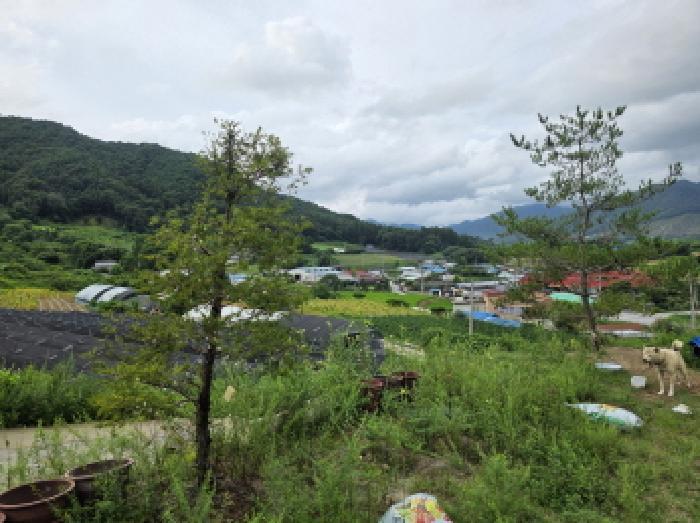 2025타경5381 법원경매 사진46 | 충북 제천시 주택건물 경매