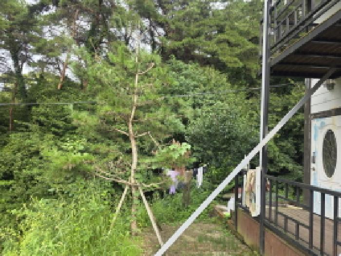 2025타경5381 법원경매 사진47 | 충북 제천시 주택건물 경매