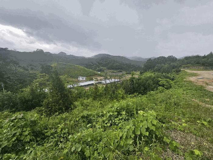 2025타경5385 법원경매 사진3 | 충북 제천시 임야 경매