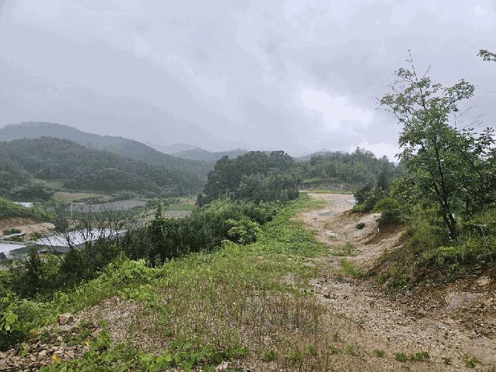 2025타경5385 법원경매 사진7 | 충북 제천시 임야 경매