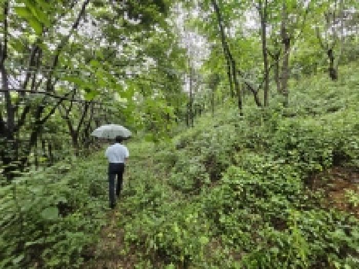 2025타경5387 법원경매 사진13 | 충북 제천시 임야 경매