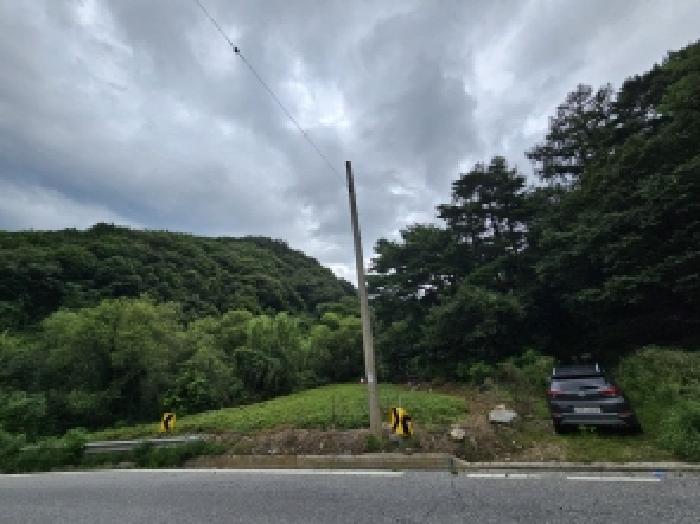 2025타경5387 법원경매 사진21 | 충북 제천시 임야 경매