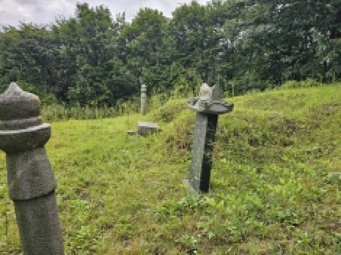 2025타경5387 법원경매 사진27 | 충북 제천시 임야 경매