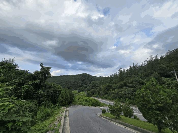 2025타경5387 법원경매 사진56 | 충북 제천시 임야 경매