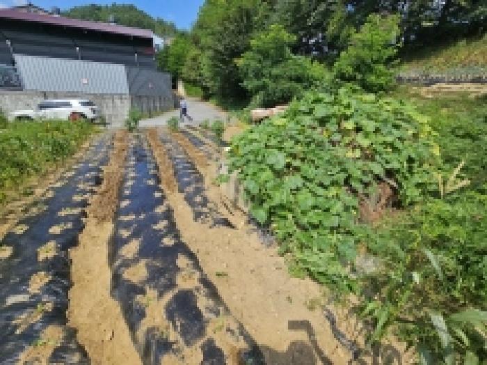 2025타경5397 법원경매 사진10 | 충북 제천시 전 경매