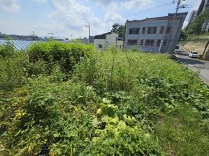 2025타경5397 법원경매 사진13 | 충북 제천시 전 경매