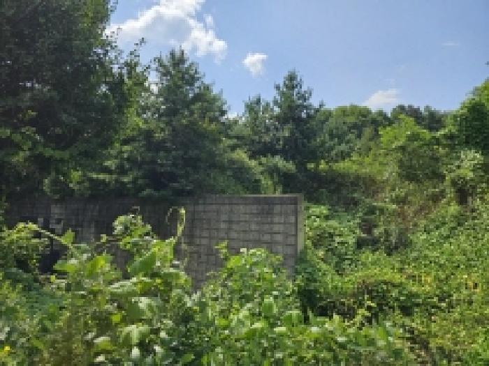 2025타경5399 법원경매 사진10 | 충북 제천시 임야 경매