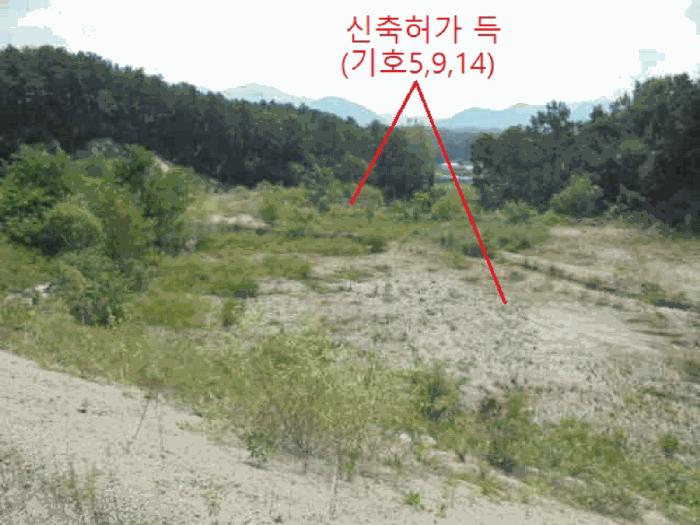 2025타경5401 법원경매 사진16 | 충북 제천시 임야 경매