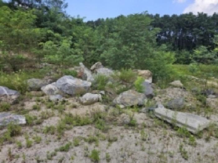 2025타경5401 법원경매 사진28 | 충북 제천시 임야 경매
