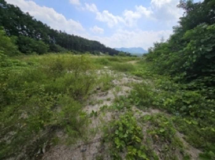 2025타경5401 법원경매 사진33 | 충북 제천시 임야 경매