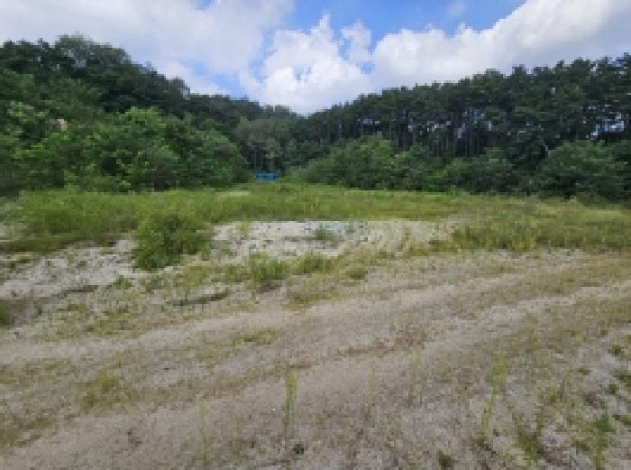 2025타경5401 법원경매 사진34 | 충북 제천시 임야 경매