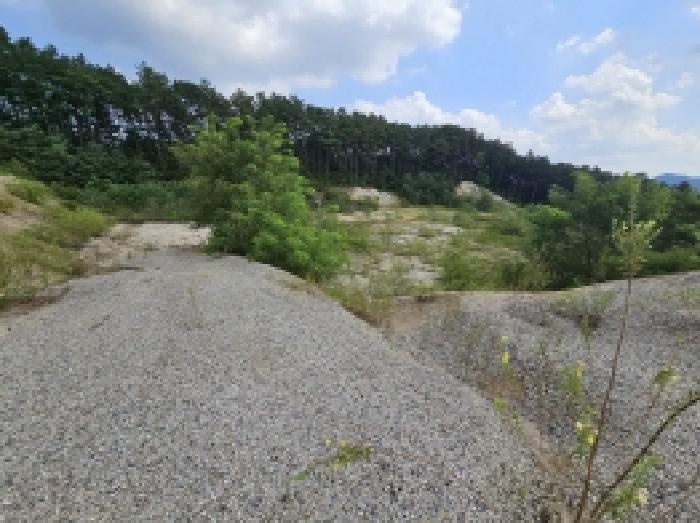 2025타경5401 법원경매 사진36 | 충북 제천시 임야 경매