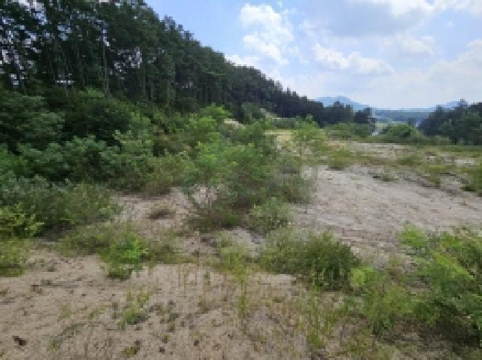 2025타경5401 법원경매 사진53 | 충북 제천시 임야 경매