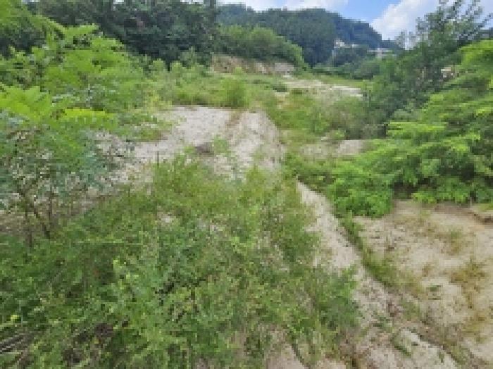 2025타경5401 법원경매 사진58 | 충북 제천시 임야 경매