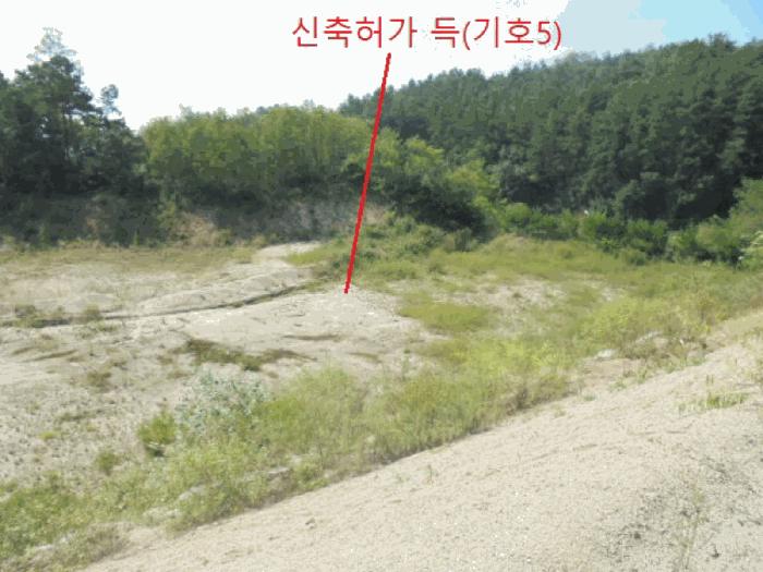 2025타경5401 법원경매 사진8 | 충북 제천시 임야 경매