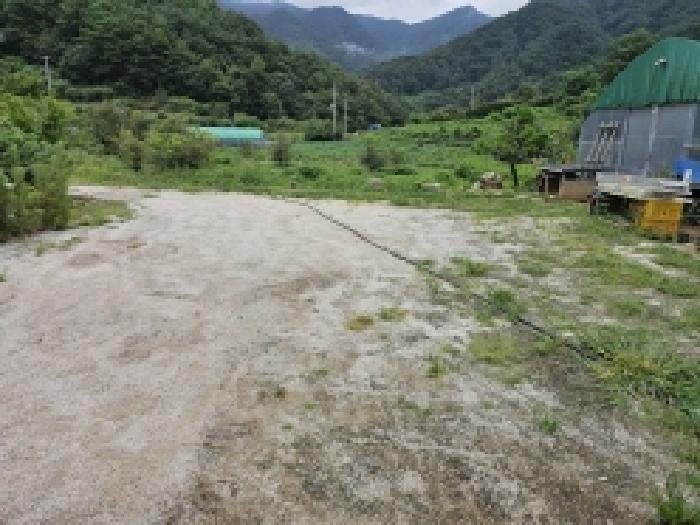2025타경5403 법원경매 사진17 | 충북 단양군 전 경매