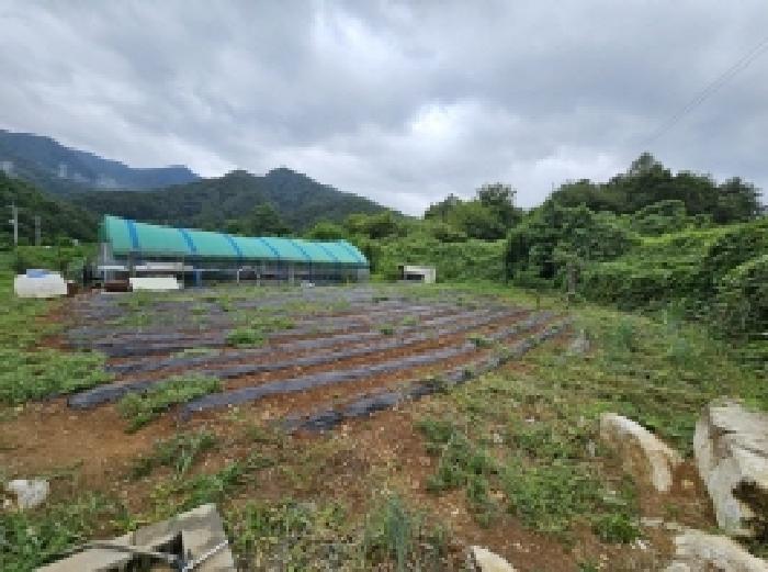2025타경5403 법원경매 사진21 | 충북 단양군 전 경매