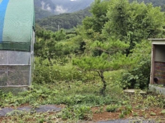 2025타경5403 법원경매 사진23 | 충북 단양군 전 경매