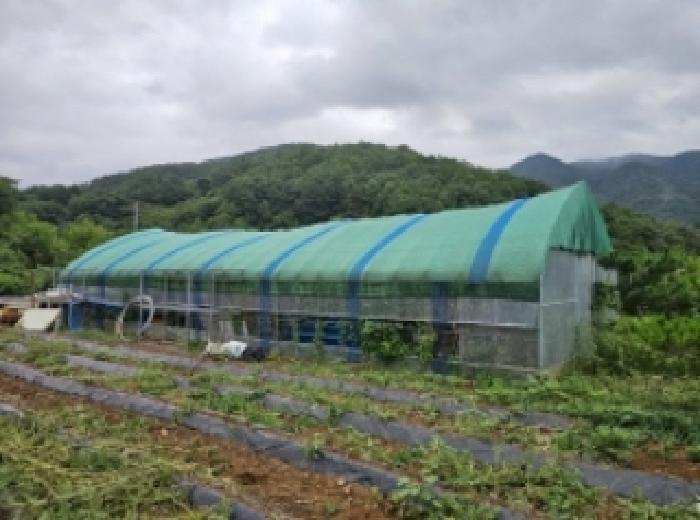 2025타경5403 법원경매 사진26 | 충북 단양군 전 경매