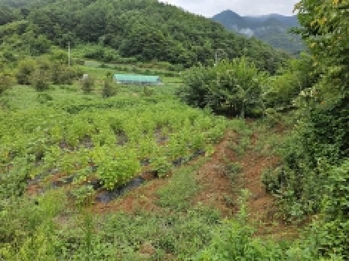 2025타경5403 법원경매 사진27 | 충북 단양군 전 경매