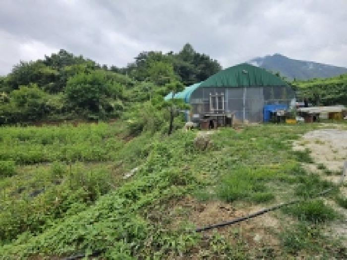 2025타경5403 법원경매 사진30 | 충북 단양군 전 경매