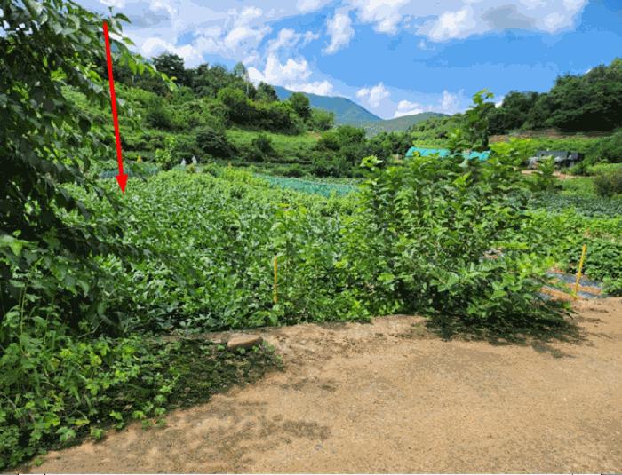 2025타경5403 법원경매 사진7 | 충북 단양군 전 경매