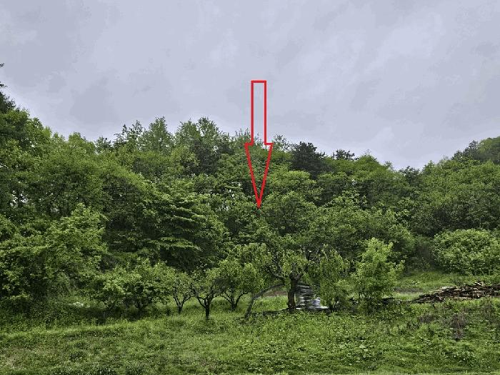 강원특별자치도 횡성군 공근면 어둔리 산86 법원경매 물건 대표사진