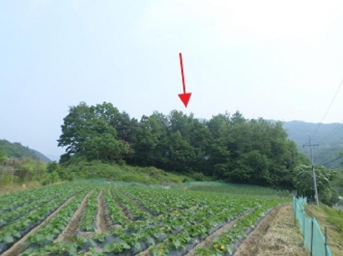 법원경매 2025타경20611 사진2 | 횡성군 공근면 어둔리 임야 경매