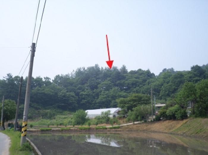 법원경매 2025타경20611 사진3 | 횡성군 공근면 어둔리 임야 경매